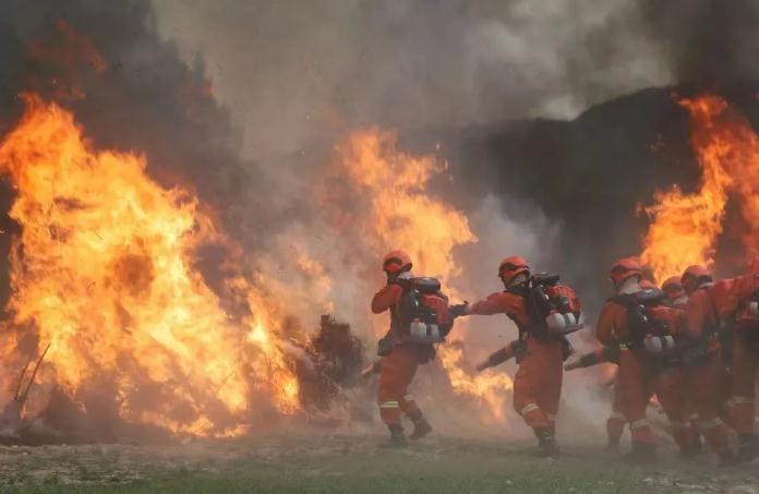 在移動餐廳帳篷里聚會體驗怎么樣?